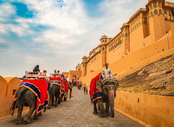 jaipur tour
