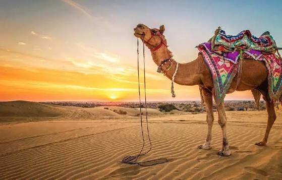 Rajasthan